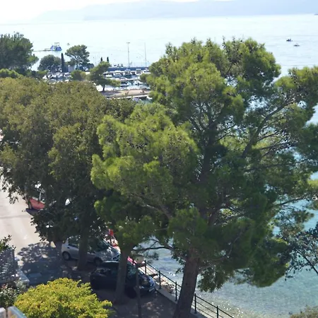 Nirvana ツリクヴェニツァ